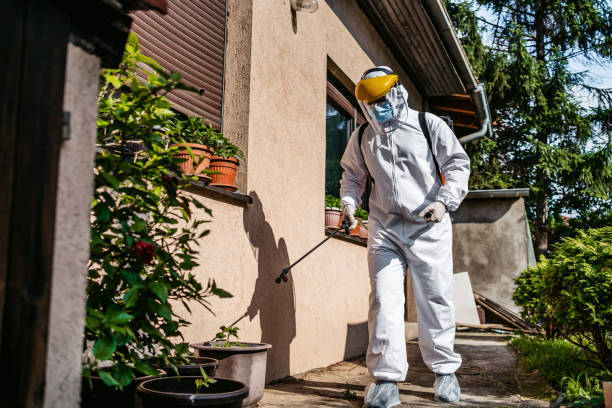  Beulah, ND Pest Control Pros