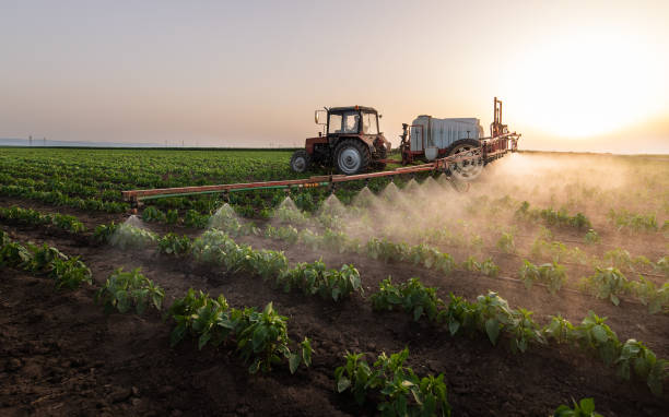 Pest Control for Restaurants in Beulah, ND