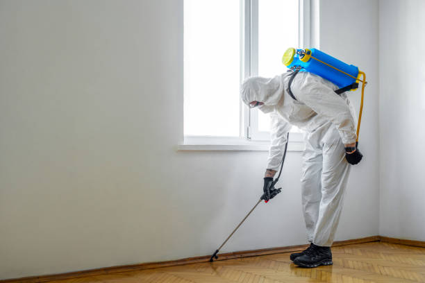 Best Affordable Pest Control Services  in Beulah, ND