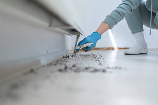 Best Cockroach Control Services  in Beulah, ND
